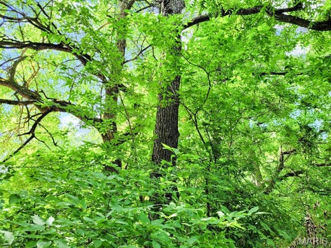 Tiny photo for 225 Valley View (Lot 29) Drive, Hawk Point, MO 63349 (MLS # 26049813)