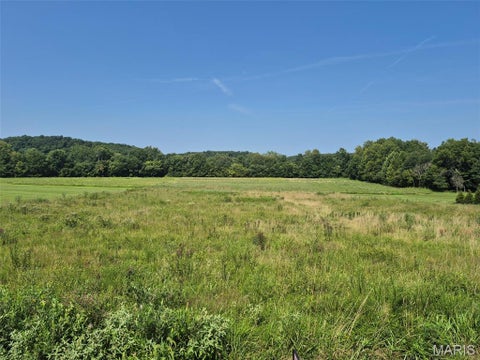 Photo of 225 Valley View (Lot 29) Drive, Hawk Point, MO 63349 (MLS # 26049813)