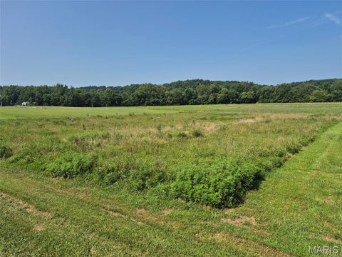 Tiny photo for 225 Valley View (Lot 29) Drive, Hawk Point, MO 63349 (MLS # 26049813)