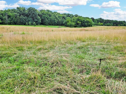 Tiny photo for 225 Valley View (Lot 29) Drive, Hawk Point, MO 63349 (MLS # 26049813)