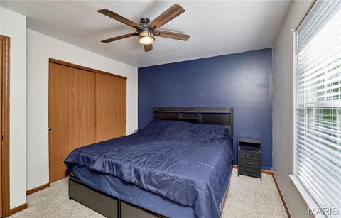 Tiny photo for 324 Parkway Drive, Troy, MO 63379 (MLS # 26028934)