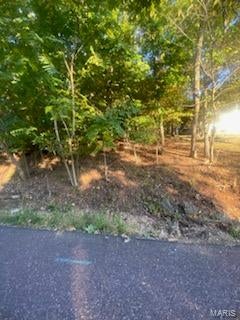 Tiny photo for 448 Marina Drive, Marthasville, MO 63357 (MLS # 26068686)