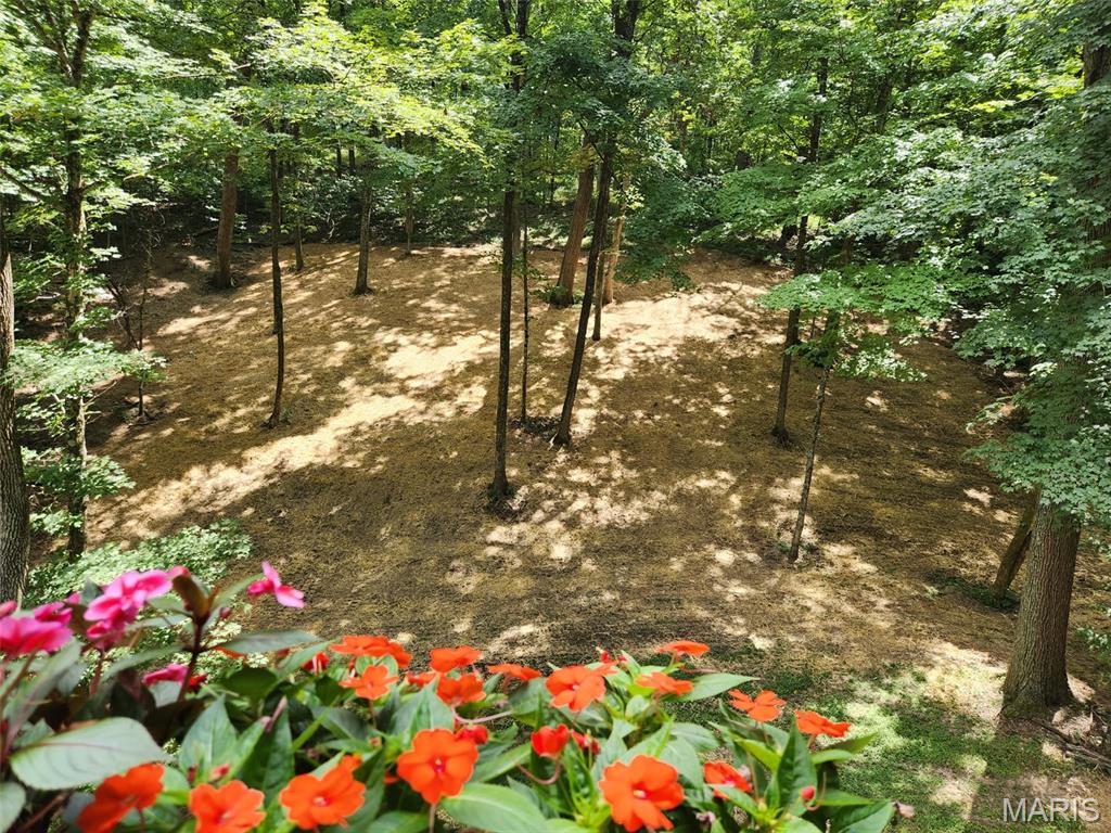 832 Stone Bridge Springs Drive