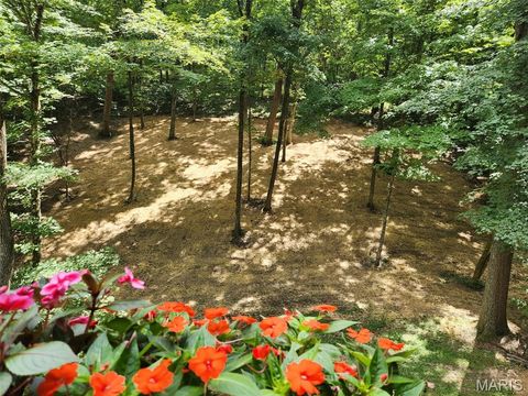 Tiny photo for 832 Stone Bridge Springs Drive, Wildwood, MO 63005 (MLS # 26009608)