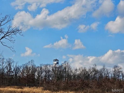 Tiny photo for 31947 US 60, Ellsinore, MO 63937 (MLS # 26010987)