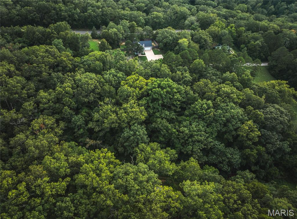 Mills Springs Estates - Land