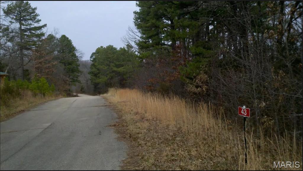 Mills Springs Estates - Land