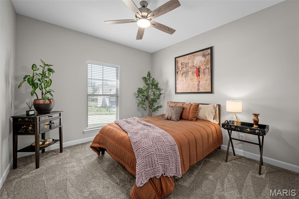 Windsor Park #3 - Residential