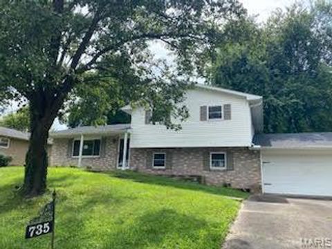 Photo of 735 Strawberry Lane, Jackson, MO 63755 (MLS # 26046257)