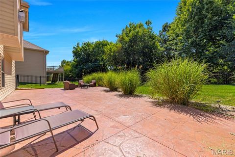 Tiny photo for 223 Victoria Park Avenue, Wentzville, MO 63385 (MLS # 26007107)