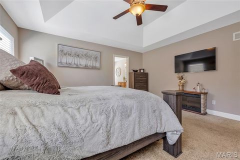 Tiny photo for 223 Victoria Park Avenue, Wentzville, MO 63385 (MLS # 26007107)