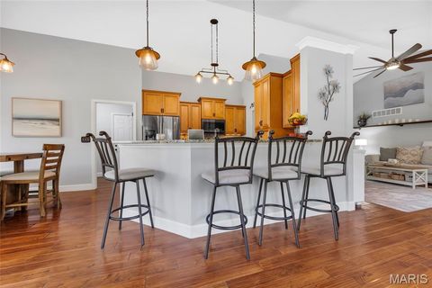 Tiny photo for 223 Victoria Park Avenue, Wentzville, MO 63385 (MLS # 26007107)