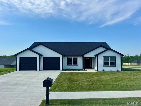 Photo of 200 W Larkspur Court, Hannibal, MO 63401 (MLS # 26030927)