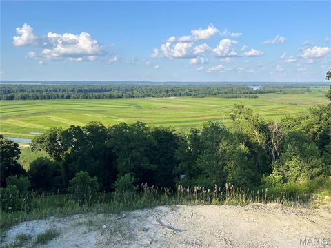 Tiny photo for 4015 Pike 9140, Louisiana, MO 63353 (MLS # 25046643)