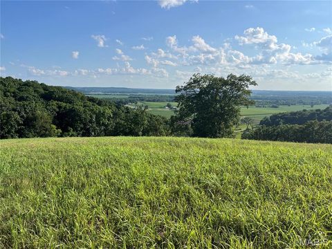Tiny photo for 4015 Pike 9140, Louisiana, MO 63353 (MLS # 25046643)