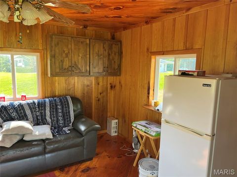 Tiny photo for 4015 Pike 9140, Louisiana, MO 63353 (MLS # 25046643)