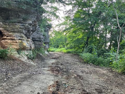 Tiny photo for 4015 Pike 9140, Louisiana, MO 63353 (MLS # 25046643)
