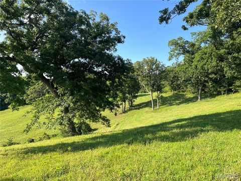 Tiny photo for 4015 Pike 9140, Louisiana, MO 63353 (MLS # 25046643)