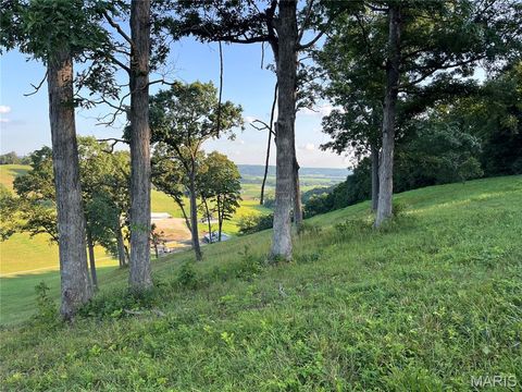 Tiny photo for 4015 Pike 9140, Louisiana, MO 63353 (MLS # 25046643)