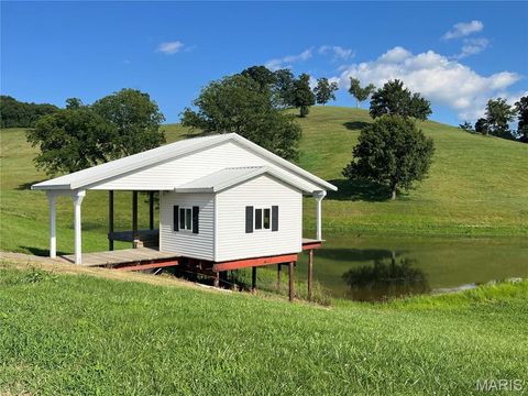 Tiny photo for 4015 Pike 9140, Louisiana, MO 63353 (MLS # 25046643)