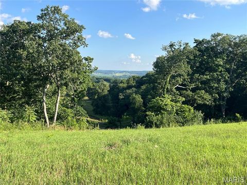 Tiny photo for 4015 Pike 9140, Louisiana, MO 63353 (MLS # 25046643)