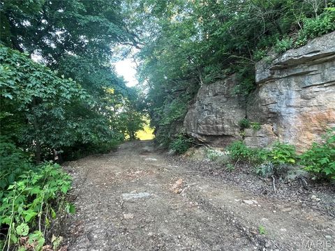 Tiny photo for 4015 Pike 9140, Louisiana, MO 63353 (MLS # 25046643)