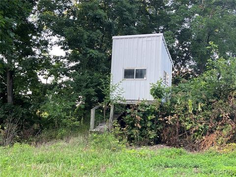 Tiny photo for 4015 Pike 9140, Louisiana, MO 63353 (MLS # 25046643)
