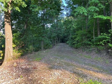 Tiny photo for 4015 Pike 9140, Louisiana, MO 63353 (MLS # 25046643)