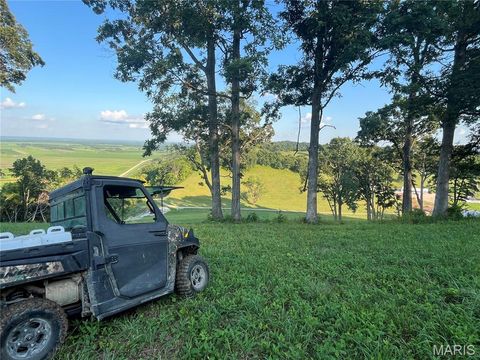 Tiny photo for 4015 Pike 9140, Louisiana, MO 63353 (MLS # 25046643)