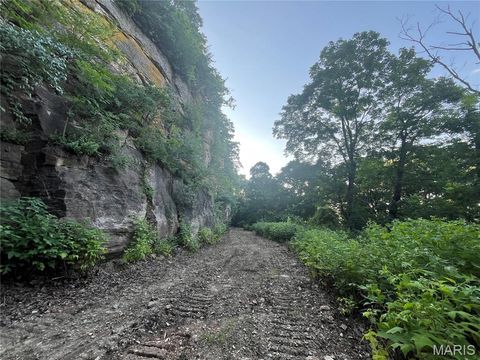 Tiny photo for 4015 Pike 9140, Louisiana, MO 63353 (MLS # 25046643)