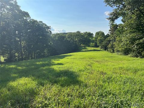 Tiny photo for 4015 Pike 9140, Louisiana, MO 63353 (MLS # 25046643)