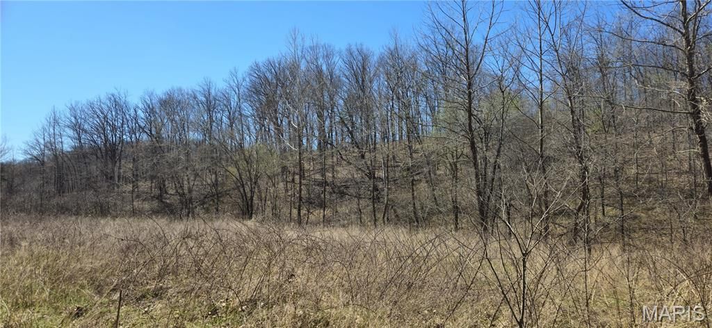 Photo of 0 County Road 422, Ellington, MO 63638 (MLS # 26018834)