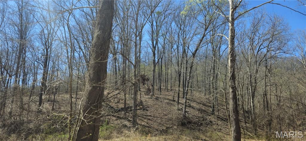 Photo of 0 County Road 422, Ellington, MO 63638 (MLS # 26018834)