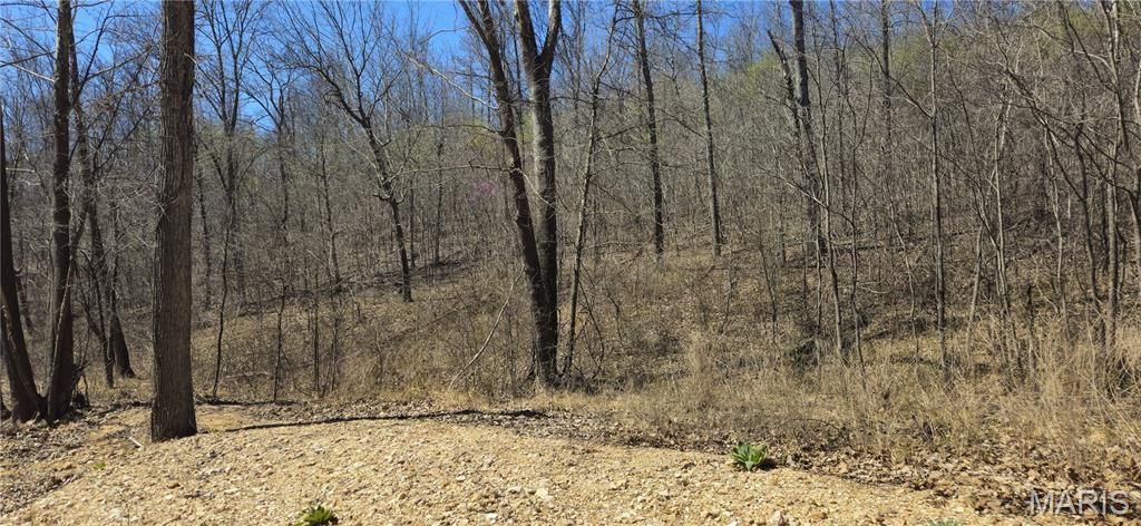 Photo of 0 County Road 422, Ellington, MO 63638 (MLS # 26018834)