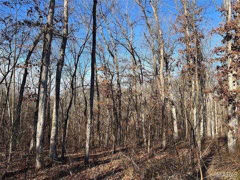 Tiny photo for 431 Piper Court, Troy, MO 63379 (MLS # 25083008)