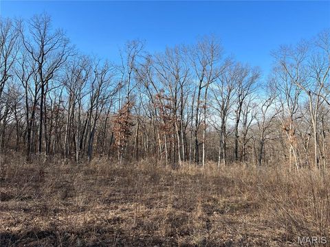 Tiny photo for 431 Piper Court, Troy, MO 63379 (MLS # 25083008)