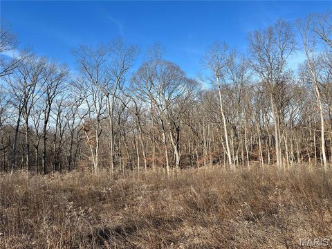 Tiny photo for 431 Piper Court, Troy, MO 63379 (MLS # 25083008)