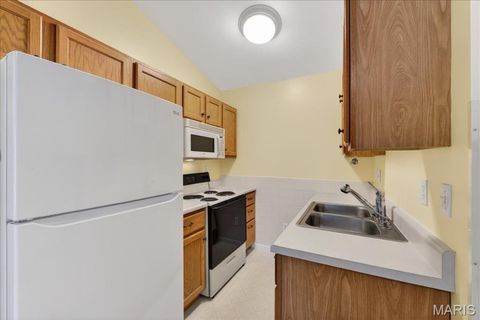 Tiny photo for 3116 Denmark Drive, Bridgeton, MO 63044 (MLS # 26017553)