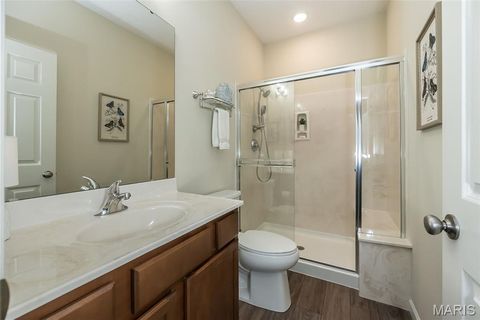 Tiny photo for 17006 Main Street, Wildwood, MO 63040 (MLS # 25074604)