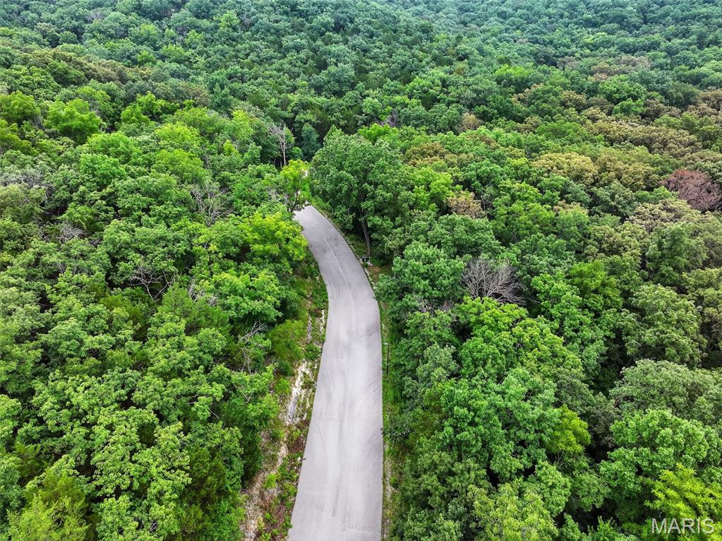18081 Rock Tree Drive