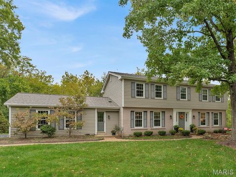 Photo of 1672 Ansonborough Drive, Chesterfield, MO 63017 (MLS # 25073877)