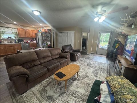 Tiny photo for 904 N 5th Street, Elsberry, MO 63343 (MLS # 25065729)
