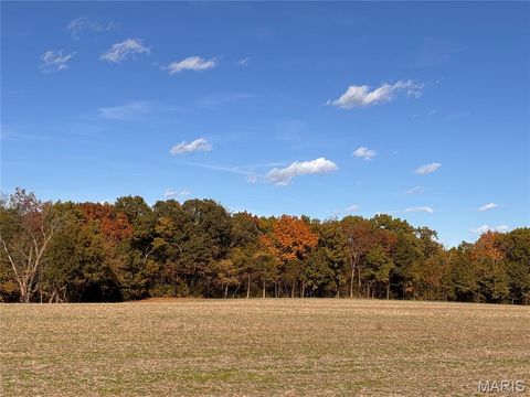 Tiny photo for 95 State Hwy AA, Wright City, MO 63390 (MLS # 25074829)