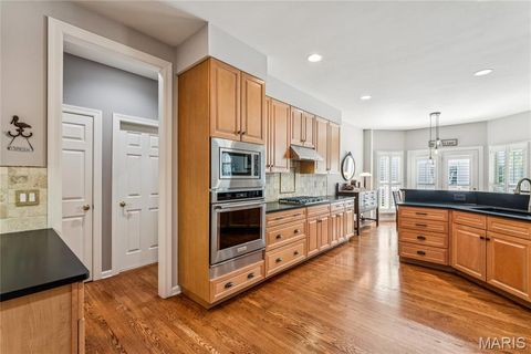 Tiny photo for 61 Picardy Hill Drive, Chesterfield, MO 63017 (MLS # 25076310)