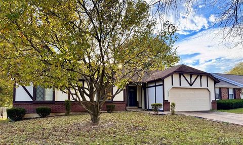 1025 Patience Drive Unincorporated MO 63034