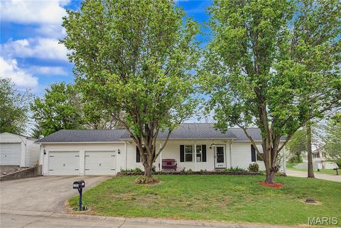 Photo of 236 Alpine Drive, Cape Girardeau, MO 63701 (MLS # 26023286)