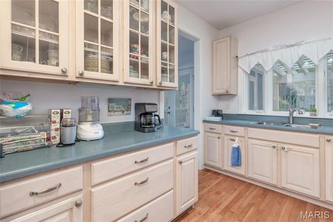 Tiny photo for 716 Clark Avenue, Webster Groves, MO 63119 (MLS # 21052716)