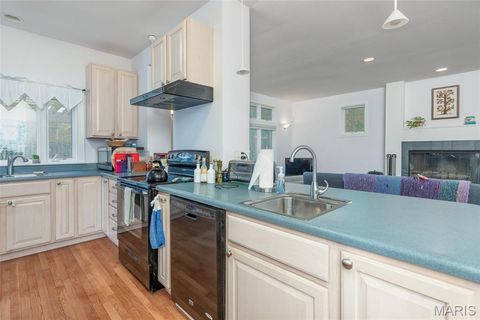 Tiny photo for 716 Clark Avenue, Webster Groves, MO 63119 (MLS # 21052716)