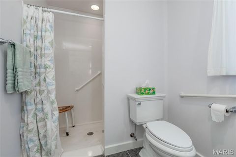 Tiny photo for 716 Clark Avenue, Webster Groves, MO 63119 (MLS # 21052716)