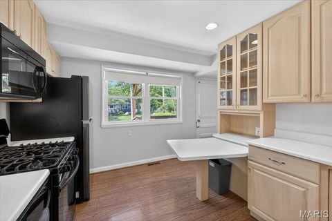 Tiny photo for 9909 Chantenay Drive, St Louis, MO 63123 (MLS # 26029936)
